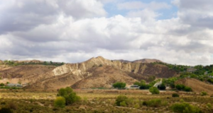valley fever cdph 801525