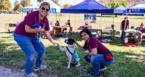 Pet Adoption Day
