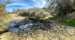 oil spill martinez canyon 120625
