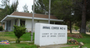022526 Castaic Animal Care Center