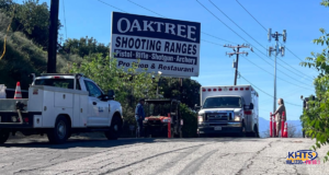 oak tree shooting 031726