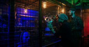 051226 SAW Escape Room quirky
