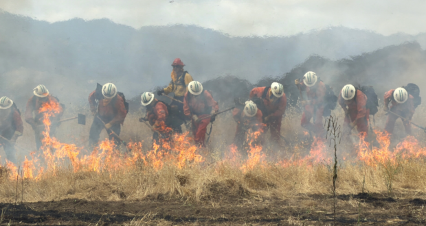 Inmate Fire Camp Crews Train Near Castaic Lake Ahead Of Fire Season