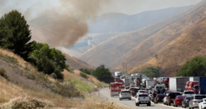 cactus fire 060126