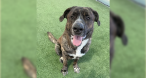 070226 Santa Clarita Valley Animal Care Center