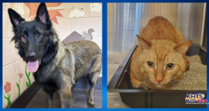 073126 Santa Clarita Animal Care Center