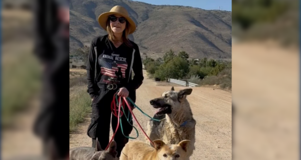 251 Dogs Found At ‘The Exorcist' Actress's Acton Animal Rescue, County Says