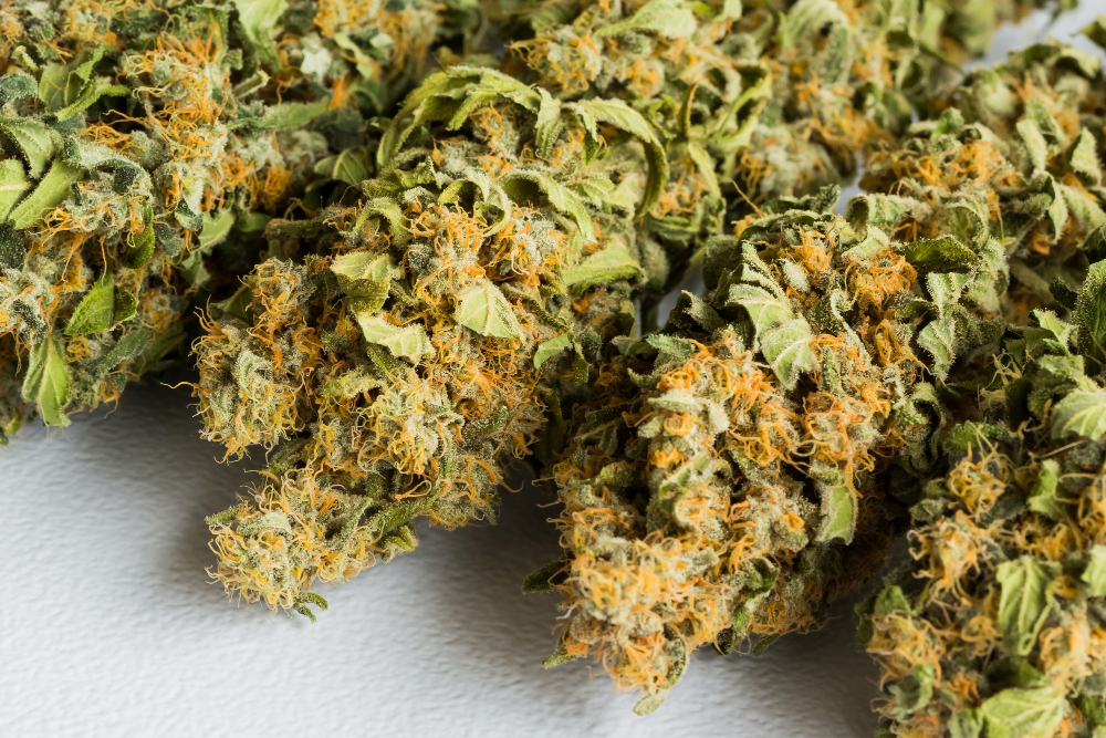 hometownstation.com - Carl Goldman - Simple Guide To White Widow THCA Flower Genetics And Characteristics