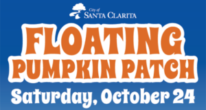 102126 floating pumpkins
